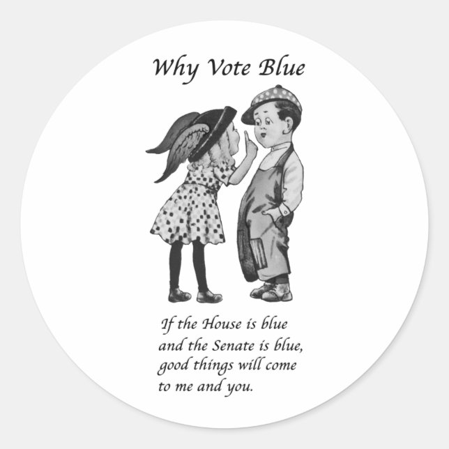 Why Vote Blue in 2022 Classic Round Sticker (Front)