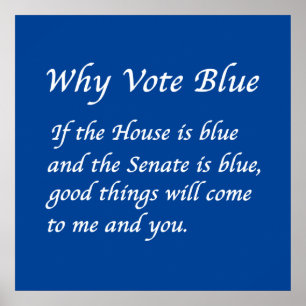 Why Vote Blue in 2022 Poster