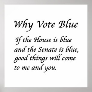 Why Vote Blue in 2024 Poster