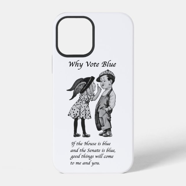 Why Vote Blue in 2026 iPhone Case (Back)