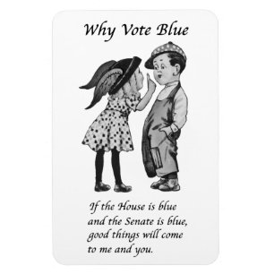 Why Vote Blue in 2026 Magnet