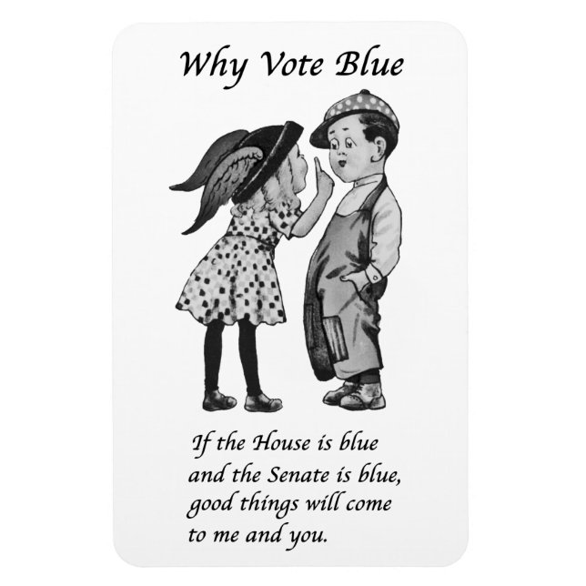 Why Vote Blue in 2026 Magnet (Vertical)