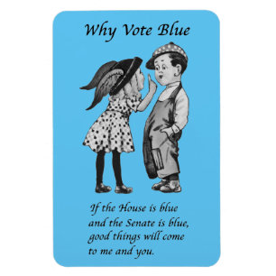 Why Vote Blue in 2026 Magnet