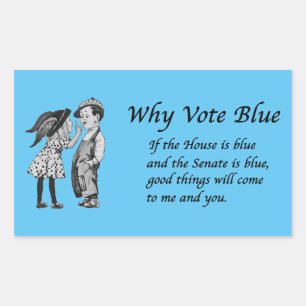 Why Vote Blue in 2026 Rectangular Sticker