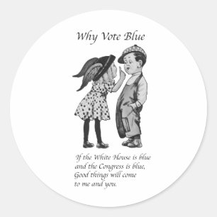 Why Vote Totally Blue in 2028 Classic Round Sticker
