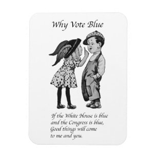 Why Vote Totally Blue in 2028 Magnet