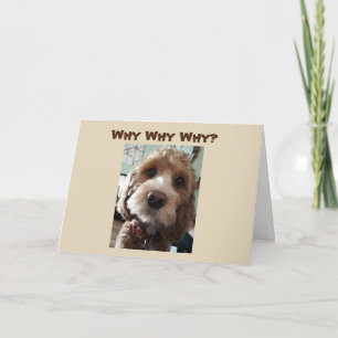 **WHY WHY WHY** DO WE HAVE TO SAY *GOODBYE?* CARD
