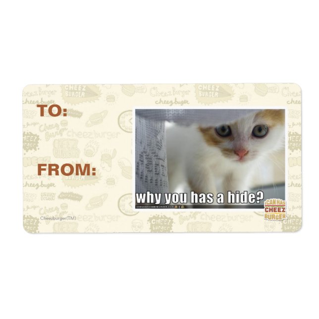 Why you has a hide? (Front)