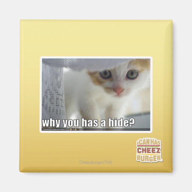 Why you has a hide? magnet (Front)
