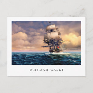 Whydah Gally Historic Ship Painting Postcards