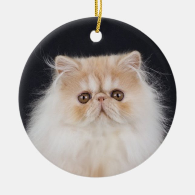 WiccaCats Meira round ornament (Front)