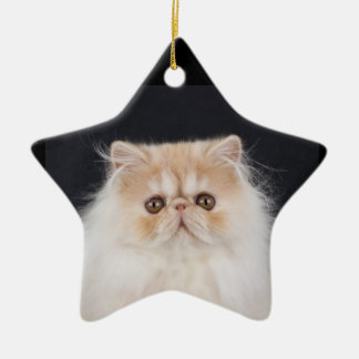 WiccaCats Meira star ornament