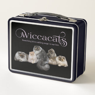 WiccaCats metal box