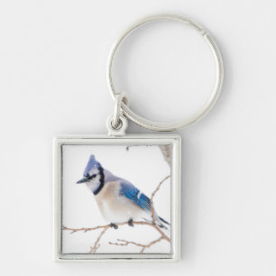 Wichita County, Texas. Blue Jay Key Ring