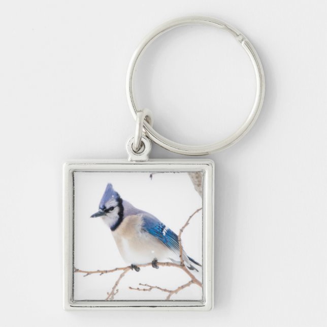 Wichita County, Texas. Blue Jay Key Ring (Front)