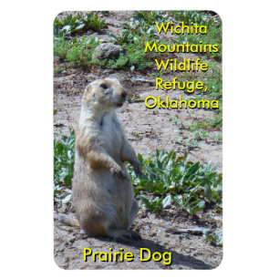 Wichita Mountains Wildlife Refuge Prairie Dog Magnet