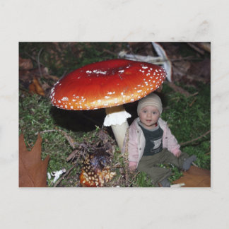 Wichtel - Zwerg unter dem Fliegenpilz Postcard