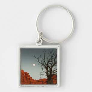 Wicked Moon Key Ring