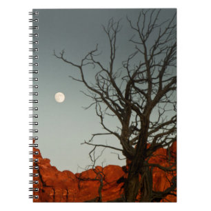 Wicked Moon Notebook