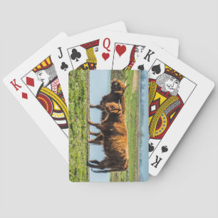 Wicken Fen cattle Playing Cards