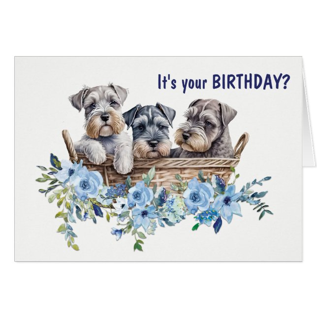 Wicker Basket of Schnauzer Dog Puppies Birthday (Front Horizontal)