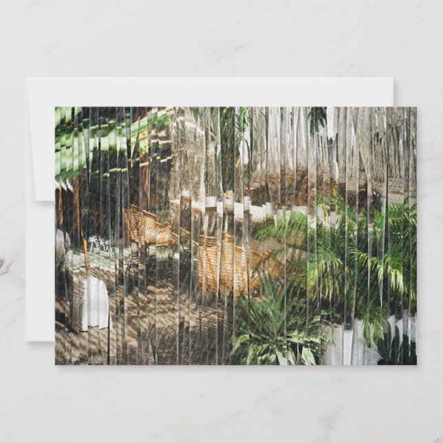Wicker Chairs and Plants Thank You Card (Front)