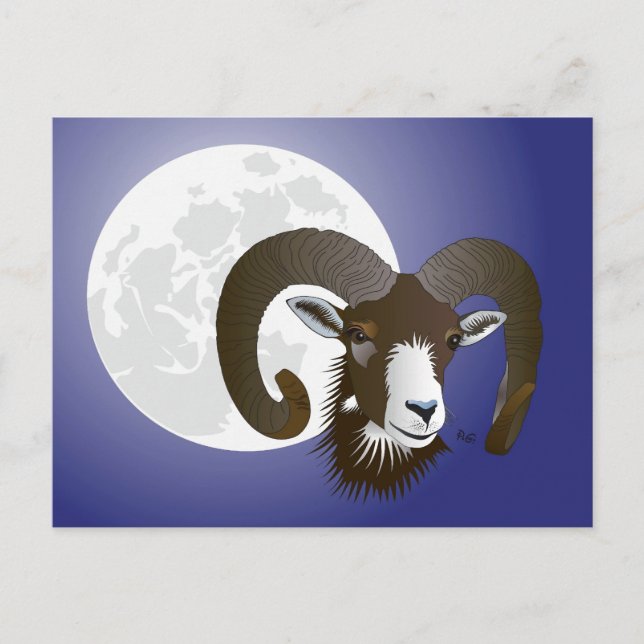 Widder Sternzeichen Postkarte Postcard (Front)