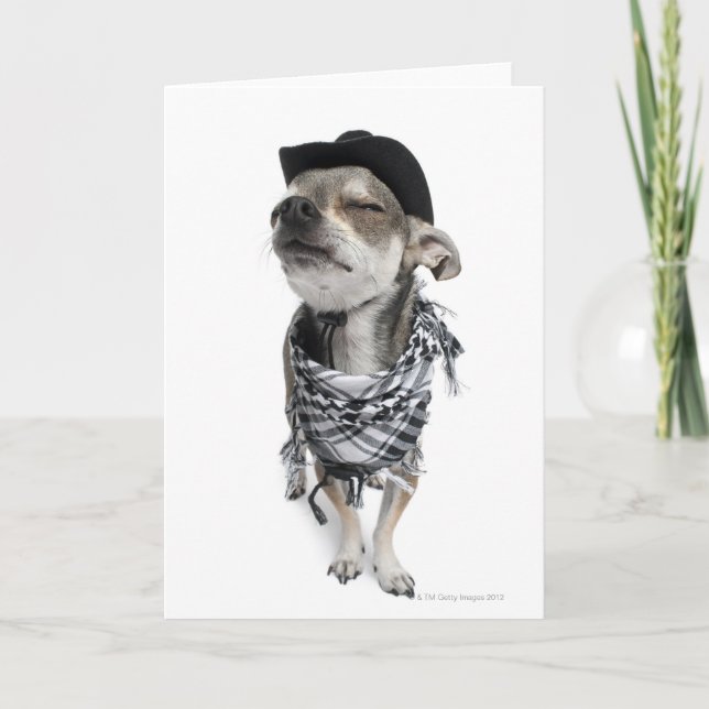 Wide-angle of a Chihuahua with his eyes closed Card (Front)
