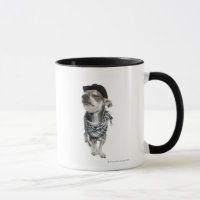 Wide-angle of a Chihuahua with his eyes closed