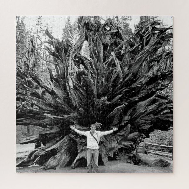 Wide Angle Sequioa Tree Trunk - 20x20 - 676 pcs. Jigsaw Puzzle (Vertical)