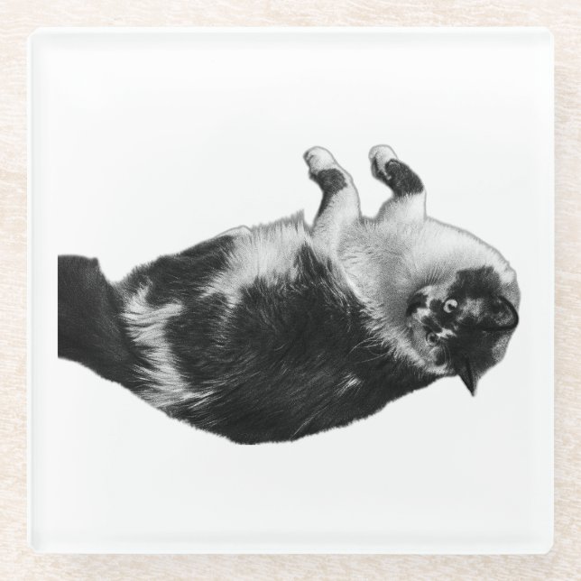 Wide‑Eyes Cat Flip Coaster (Front)