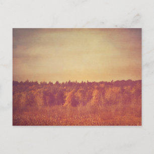 Wide Open Spaces Postcard