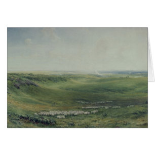 Wide Pastures, Sussex