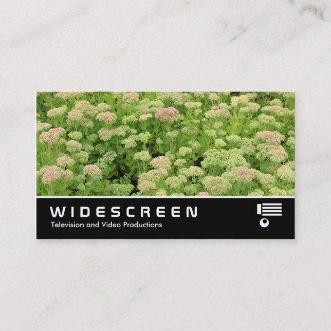 Widescreen 0424 - Sedum (Autumn Joy) Business Card (Front)