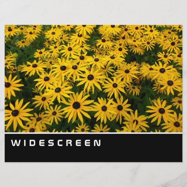 Widescreen - Black eyed Susans Flyer (Front)