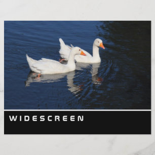 Widescreen - Emden Geese Flyer