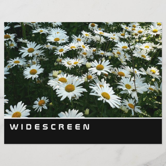 Widescreen - Shasta Daisies Flyer (Front)