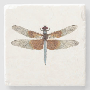Widow Skimmer Dragonfly Coaster
