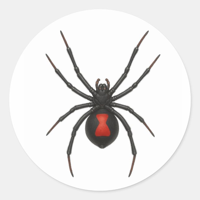 Widow's Warning: Black Widow Spider Classic Round Sticker (Front)