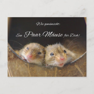 Wie gewünscht: Ein paar Mäuse für Dich! Postcard