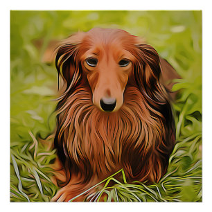 Wiener Brown Dachshund On Grass In The Garden Xmas Poster