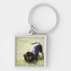 Wiener dog (black) key ring