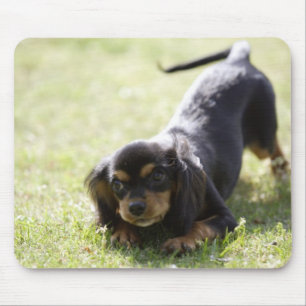 Wiener dog (black) mouse mat