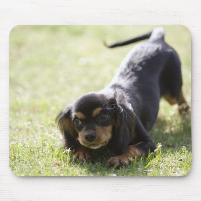 Wiener dog (black) mouse mat (Front)