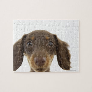 Wiener Dog (brown) 2 Jigsaw Puzzle
