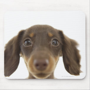 Wiener Dog (brown) 2 Mouse Mat