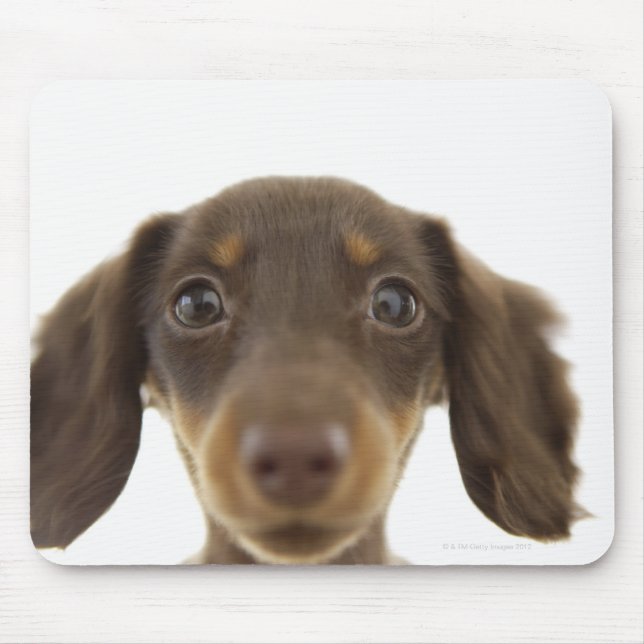 Wiener Dog (brown) 2 Mouse Mat (Front)