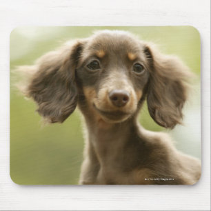 Wiener Dog (brown) Mouse Mat
