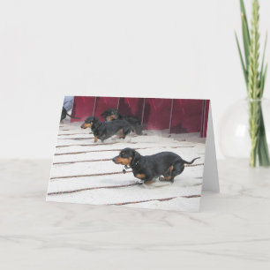 Wiener Dogs Races Card