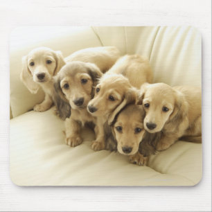 Wiener puppies mouse mat